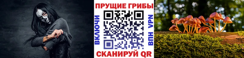 Галлюциногенные грибы Psilocybine cubensis  Калачинск 